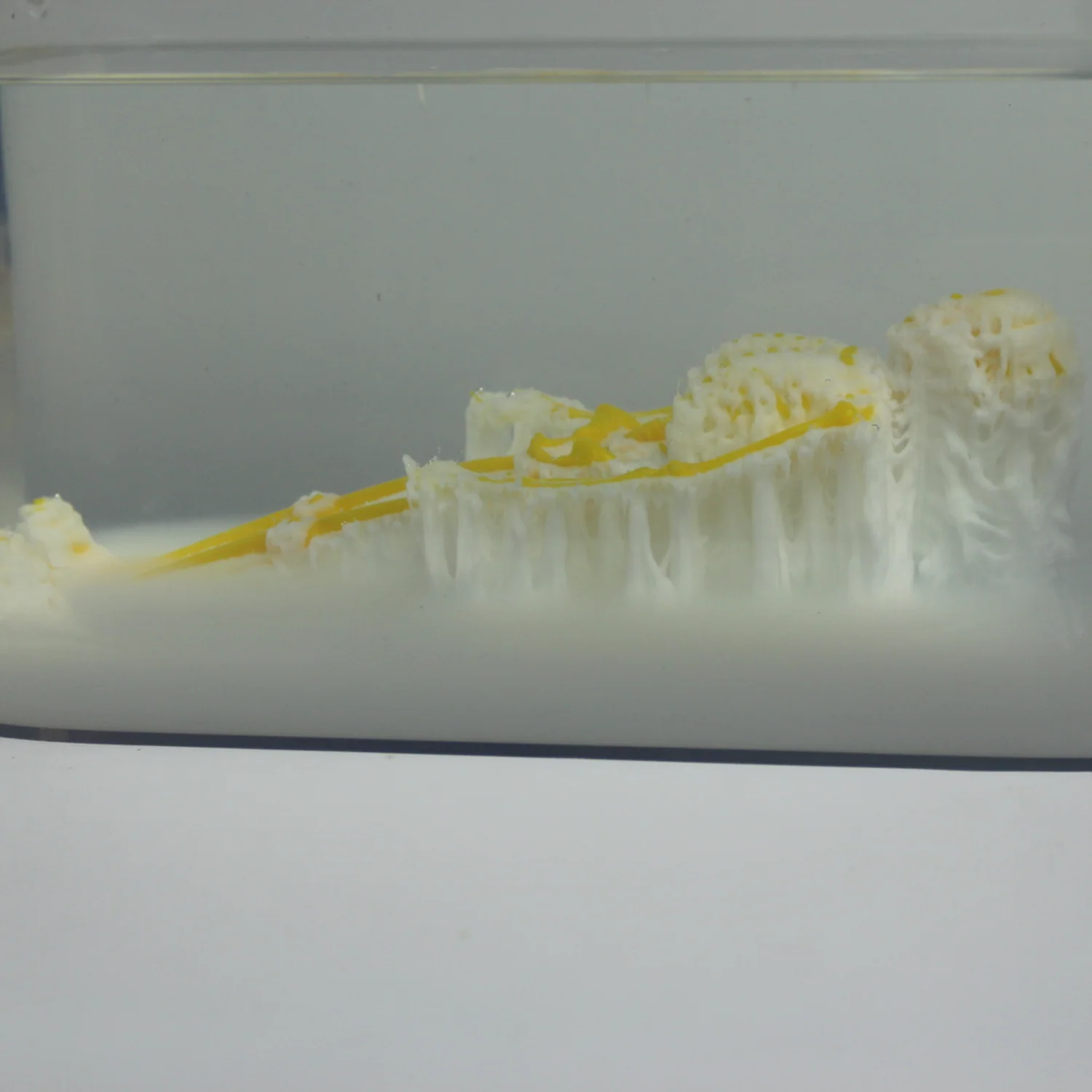 PolyDissolve™ S1 (PVA) - Image 12