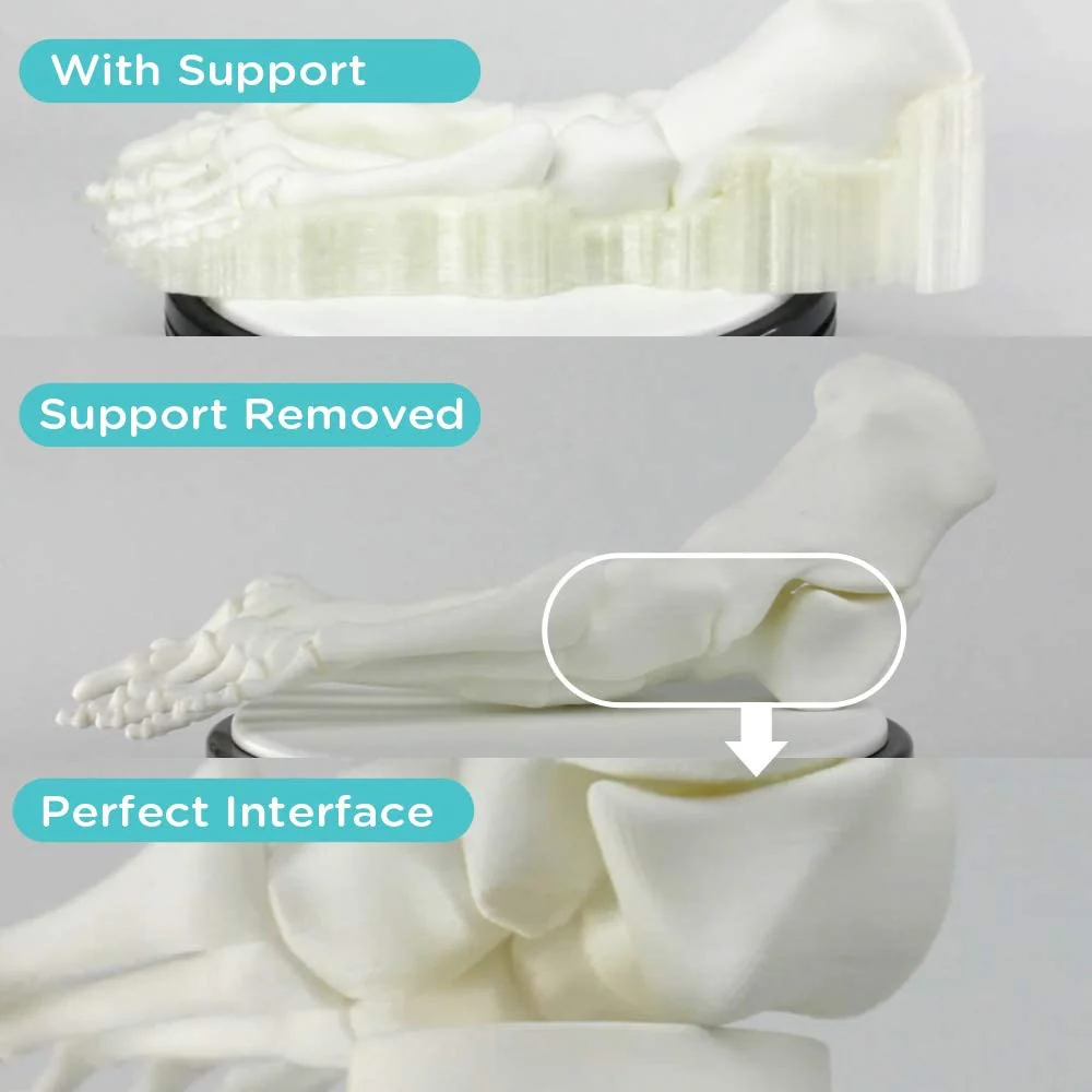 PolyDissolve™ S1 (PVA) - Image 5